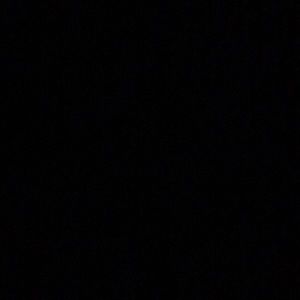 Meet your Posher, Fred